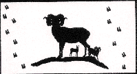 Sheep tableau