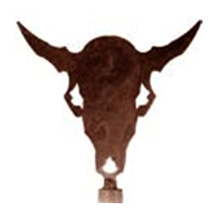 Buffalo Skull lamp finial