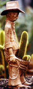 cactusman 